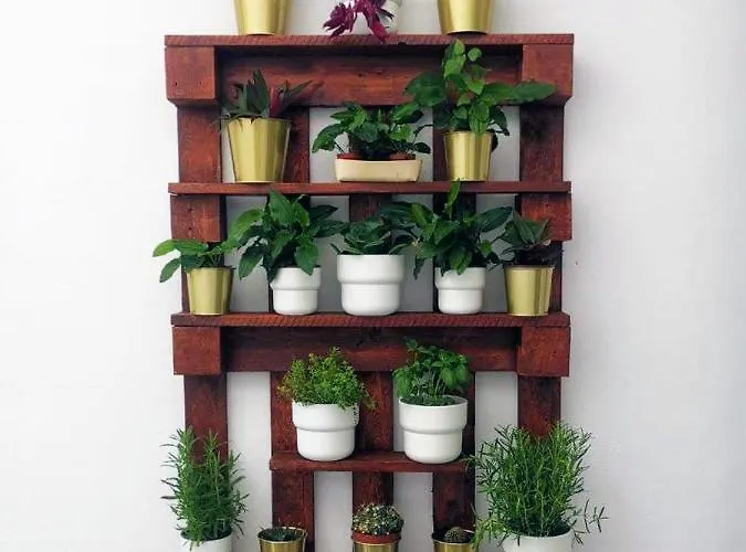 Casa La Canada La Orotava